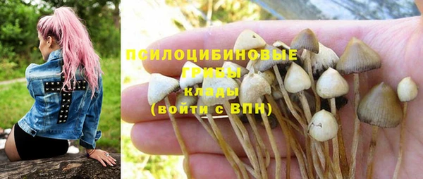 соль ск Зеленокумск