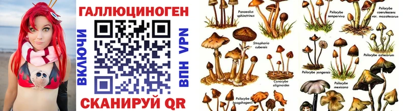 Купить закладки  Лысьва  Галлюциногенные грибы Cubensis 